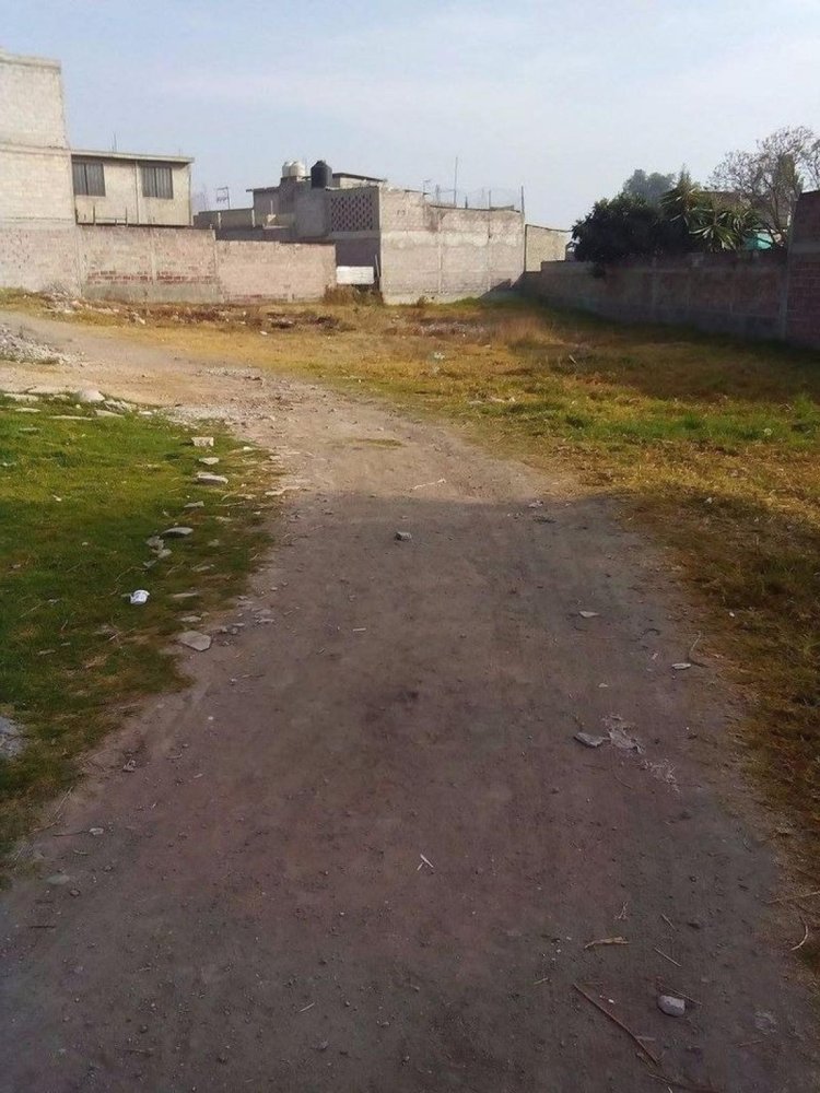  Land in Mexico No. 203373