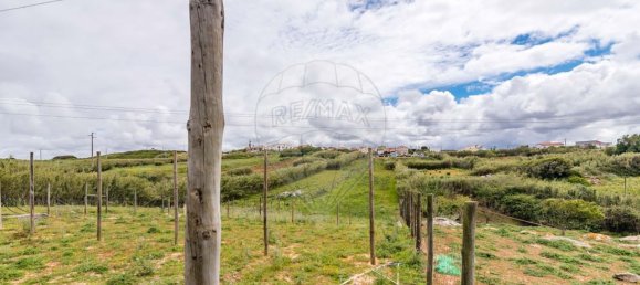 Terrain à Torres Vedras, Portugal 3640m² No. 66925 30