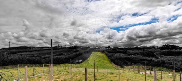 Terrain à Torres Vedras, Portugal 3640m² No. 66925 36