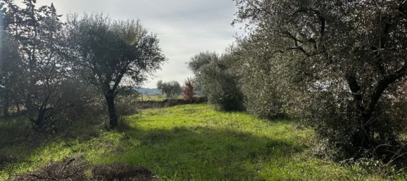 8-Zimmer Wohnung in Palombara Sabina, Italy, Nr. 114154 22