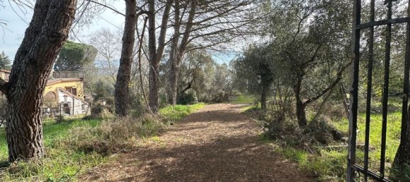 8-Zimmer Wohnung in Palombara Sabina, Italy, Nr. 114154 21