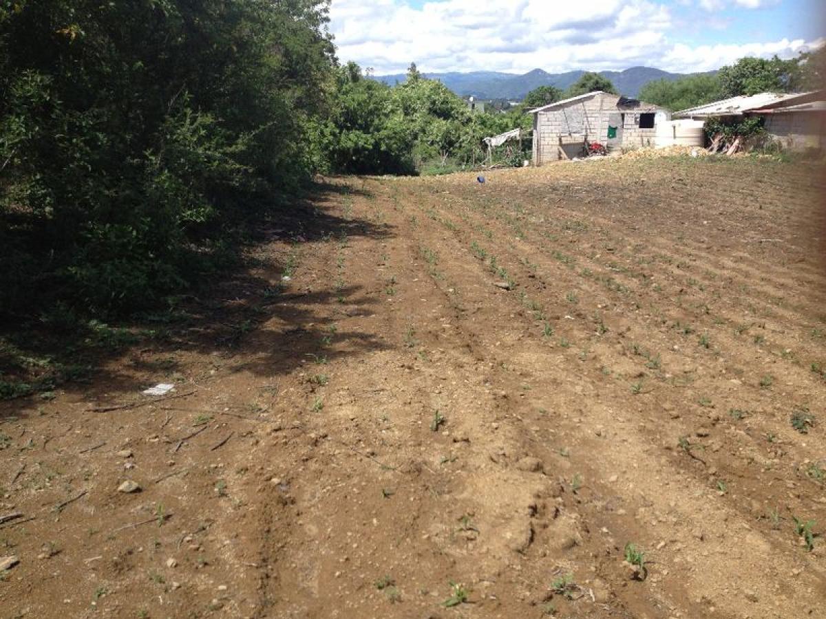  Land in Mexico No. 205839