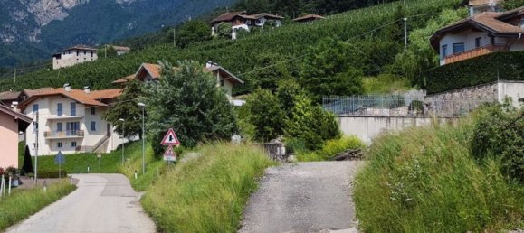 Земельный участок 2700м² в Тон, Италия № 125194 2