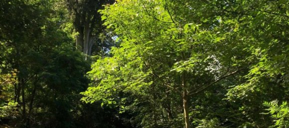 Квартира с 3 комнатами в Дюссельдорф, Германия № 26164 17