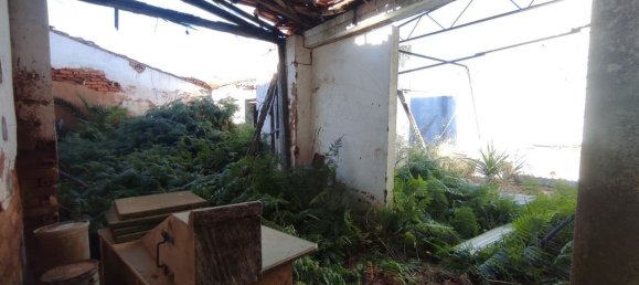 3 bedrooms House in Torres Novas, Portugal No. 22151 6