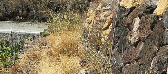 Terrain à Arafo, Spain No. 119820 6