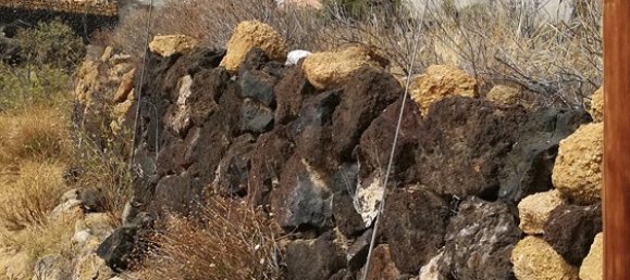 Terrain à Arafo, Spain No. 119820 7