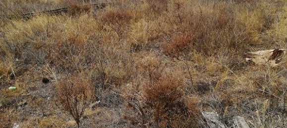 Terrain à Arafo, Spain No. 119820 3