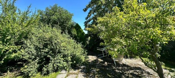 2 rooms House in Grosskrut, Austria No. 207739 19