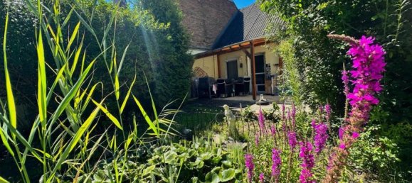 2 rooms House in Grosskrut, Austria No. 207739 6