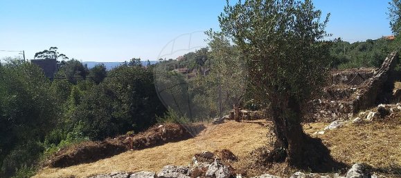 2 Schlafzimmer Haus in Chao de Couce, Portugal, Nr. 19472 18