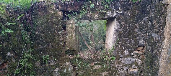 2 Schlafzimmer Haus in Chao de Couce, Portugal, Nr. 19472 9