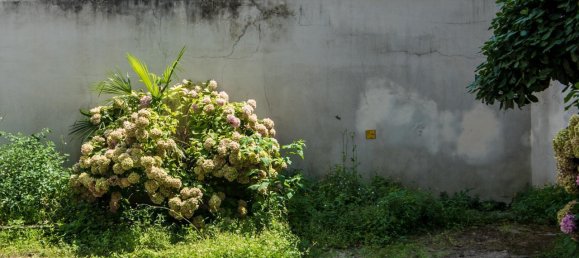 3غرفة شقة في Padua, Italy رقم 31798 9