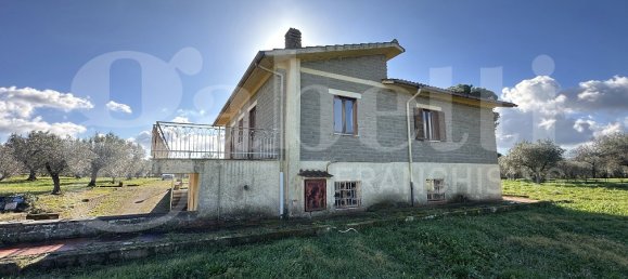 3 bedrooms Villa in Manziana, Italy No. 206973 16