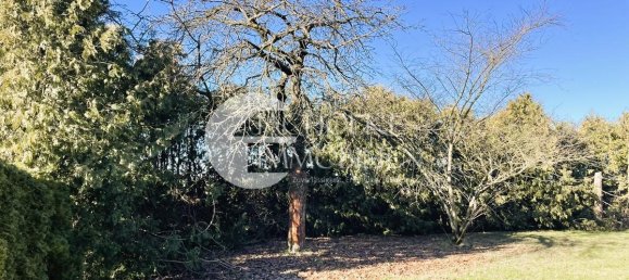 4 Schlafzimmer Bauernhof in Gifhorn, Germany, Nr. 153027 5