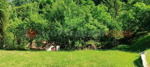 3 rooms House in Villa Collemandina, Italy No. 268107 16