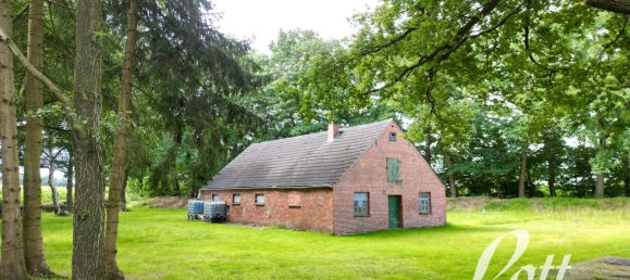 Apartamento T4 em Cloppenburg, Germany N.º 238736 6