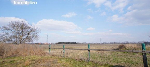 4-Zimmer Haus in Klosterneuburg, Austria, Nr. 169481 14