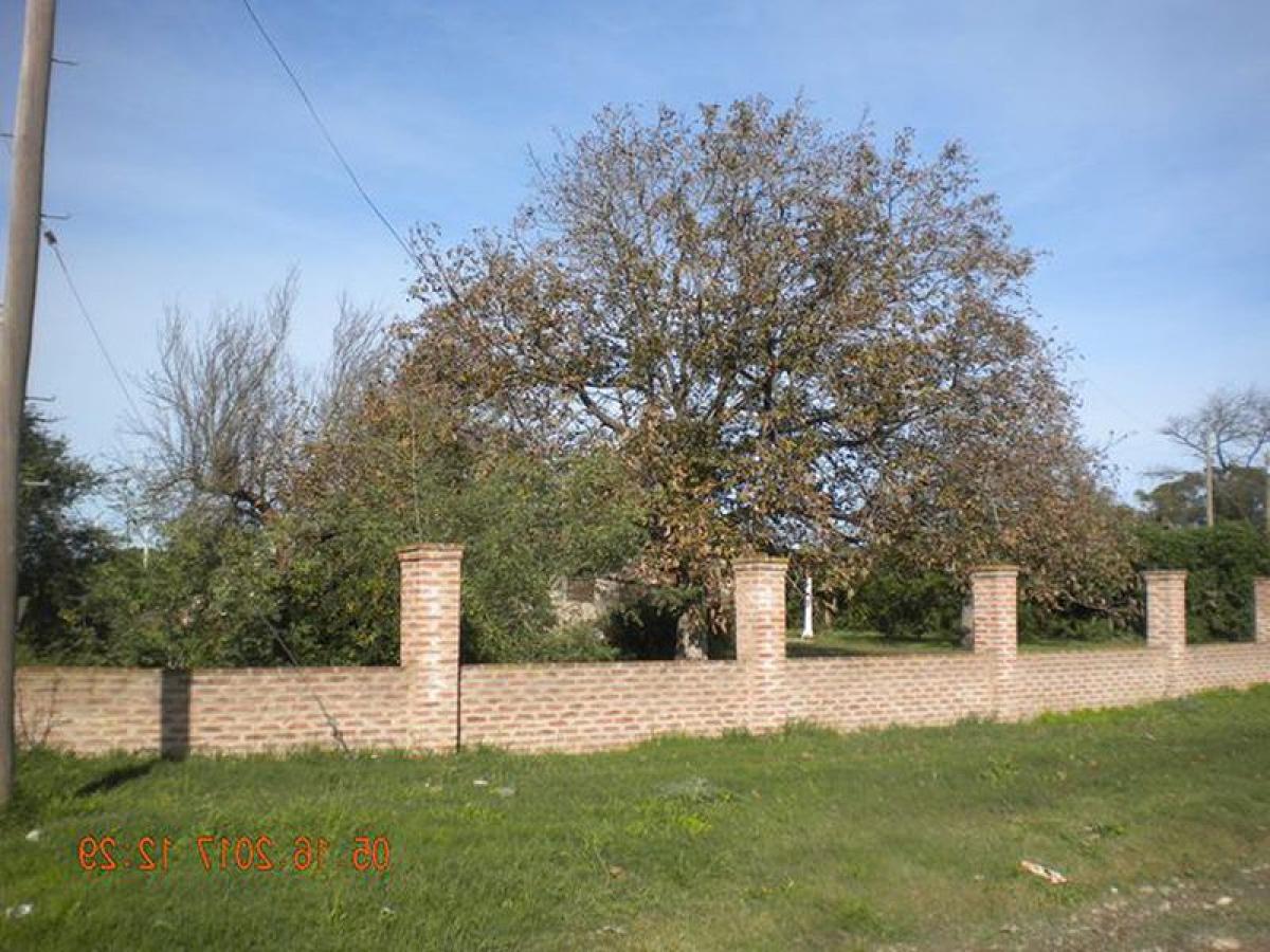 3 Schlafzimmer Haus in Mar del Plata, Argentina, Nr. 82283