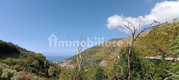 1 bedroom Apartment in Pignone, Italy No. 317570 15