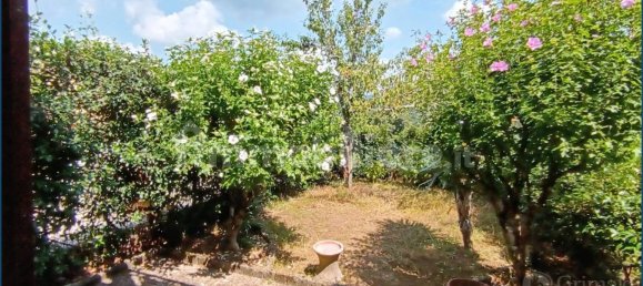 1 bedroom Apartment in Pignone, Italy No. 317570 13