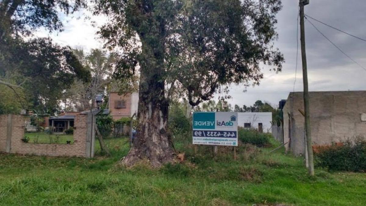 Grundstück in Campo Creado, Argentina, Nr. 48491