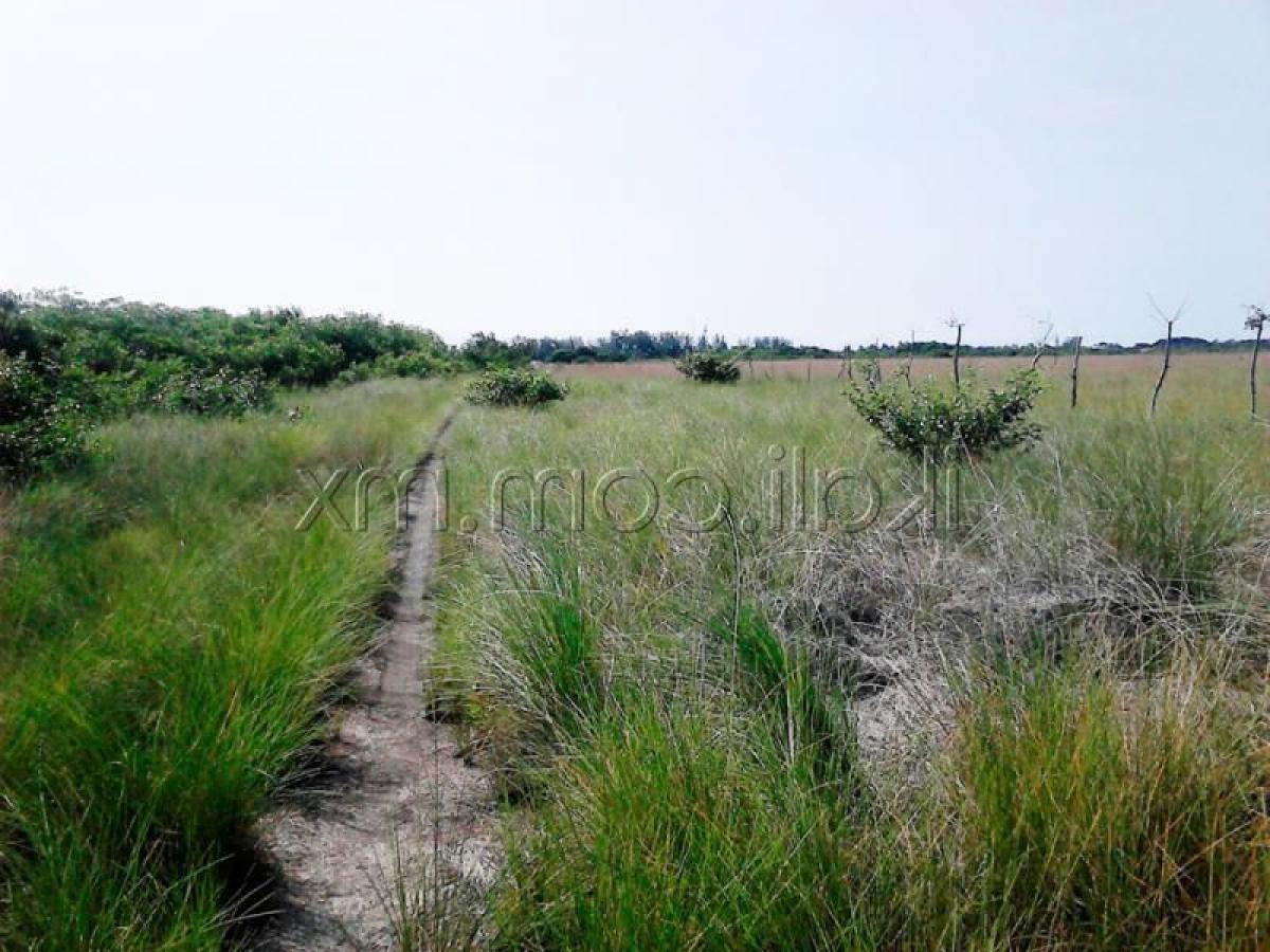  Land in Veracruz, Mexico No. 205026