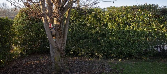 4غرفة شقة في Silea, Italy رقم 105693 26