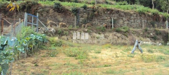 Terrain à Marco de Canaveses, Portugal 3050m² No. 59035 8