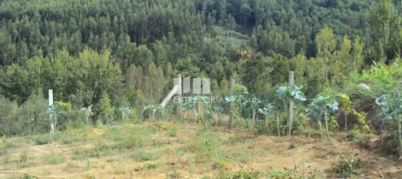 Terrain à Marco de Canaveses, Portugal 3050m² No. 59035 6