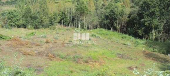 Terrain à Marco de Canaveses, Portugal 3050m² No. 59035 16