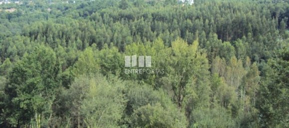 Terrain à Marco de Canaveses, Portugal 3050m² No. 59035 13