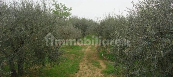 6000m² Land in Colle di Val d'Elsa, Italy No. 183120 7