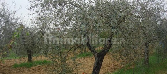 6000m² Land in Colle di Val d'Elsa, Italy No. 183120 11