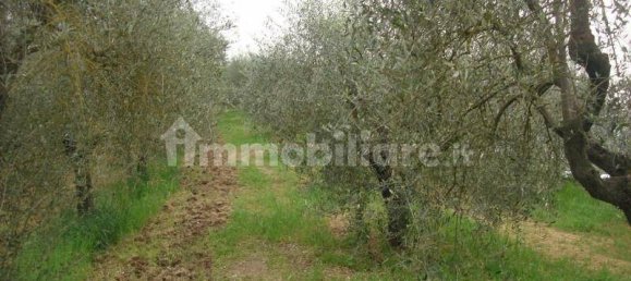 6000m² Land in Colle di Val d'Elsa, Italy No. 183120 9