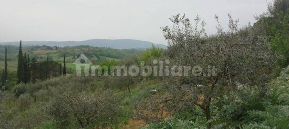 6000m² Land in Colle di Val d'Elsa, Italy No. 183120 12