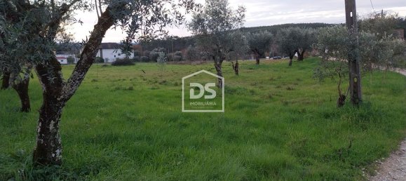 2930m² Land in Soure, Portugal No. 65567 2