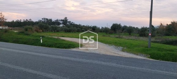 2930m² Land in Soure, Portugal No. 65567 3
