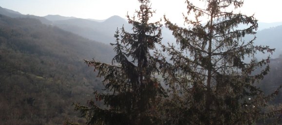 3-salle Appartement à Serra Riccò, Italy No. 222149 2