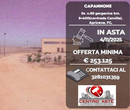 5-Zimmer Lagerhaus in Apricena, Italy, Nr. 275103