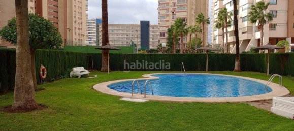 1 غرف نوم شقة في Benidorm, Spain رقم 84678 34