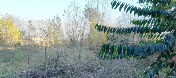 Edificio en Borghetto Lodigiano, Italy 600 m² No. 109601 18