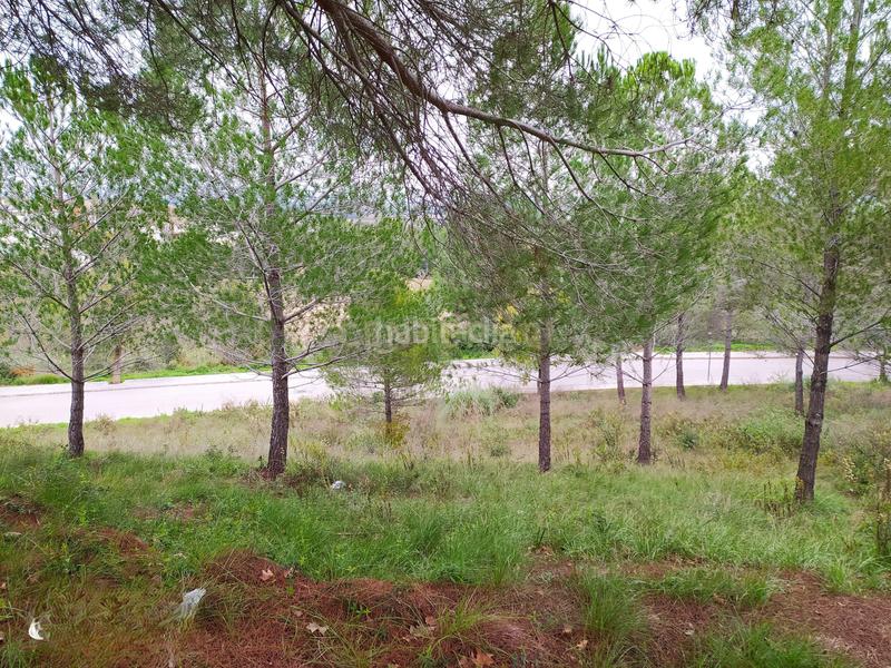 495m² Land in Sant Llorenc D'hortons, Spain No. 158915