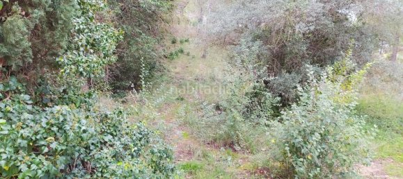 495m² Land in Sant Llorenc D'hortons, Spain No. 158915 30