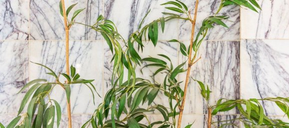 Propiedad comercial en Zaragoza, Spain 309 m² No. 67696 12