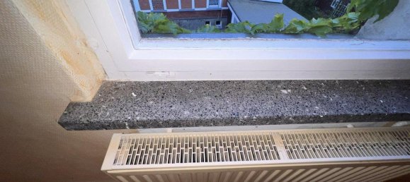 4 غرف نوم فندق في Zwickau, Germany رقم 347116 35