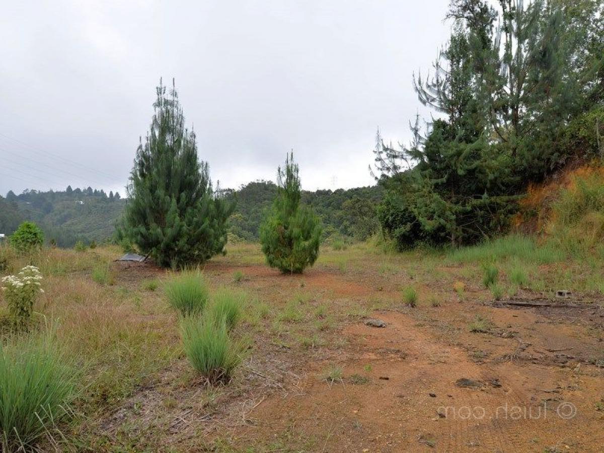 Terreno em Antioquia, Colombia N.º 459