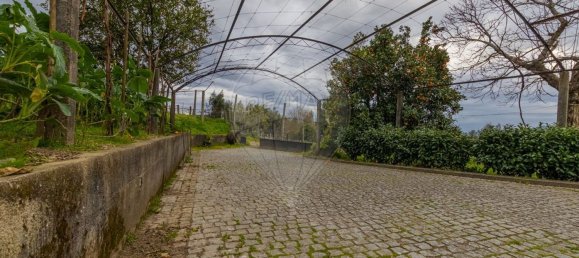 4 bedrooms House in Ponte, Portugal No. 42003 15