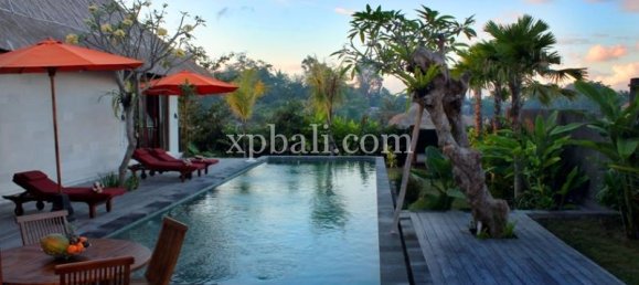 4 غرف نوم فيلا في Canggu, Indonesia رقم 3869 6