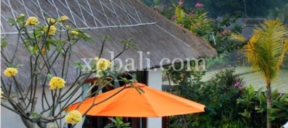 4 غرف نوم فيلا في Canggu, Indonesia رقم 3869 4